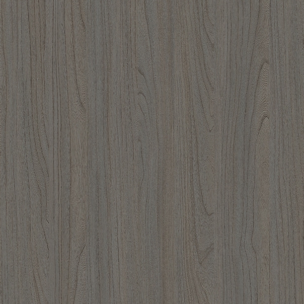 E11024 Elm perfumado antigo