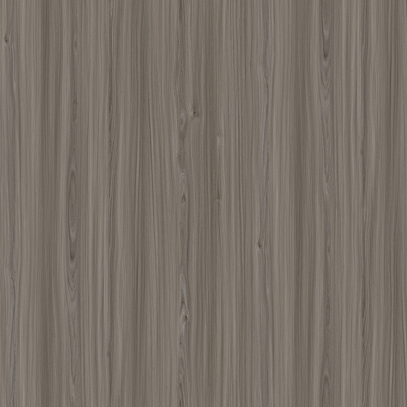X2081 ELM