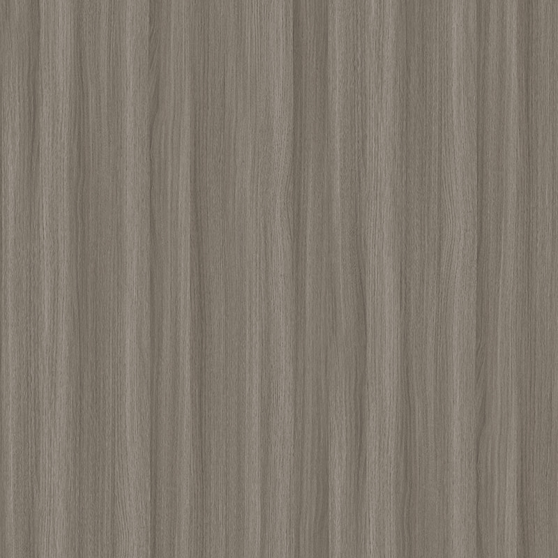 X2137 ELM ELEGENTE